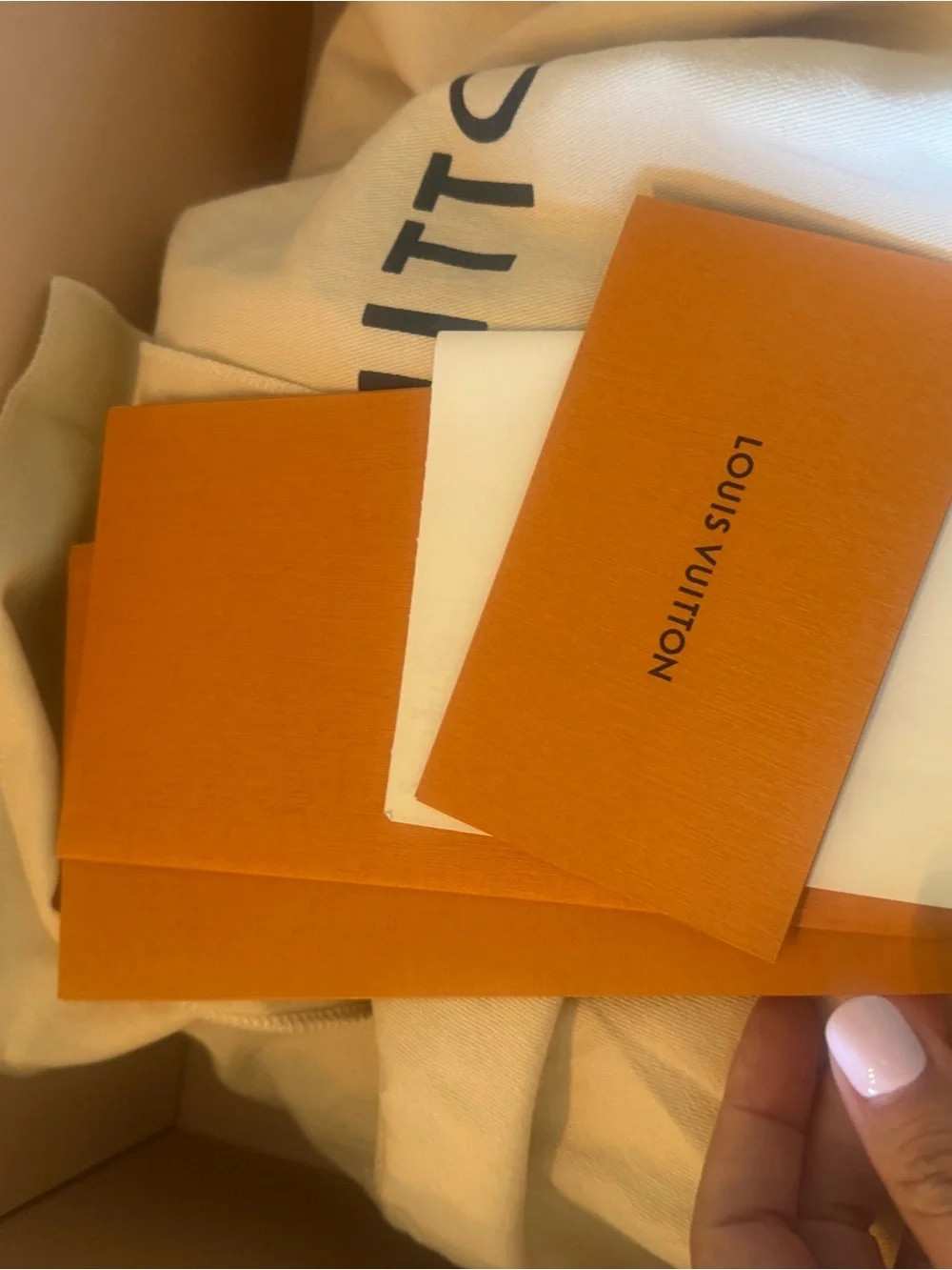 Louis Vuitton Monogram Montsouris NM backpack